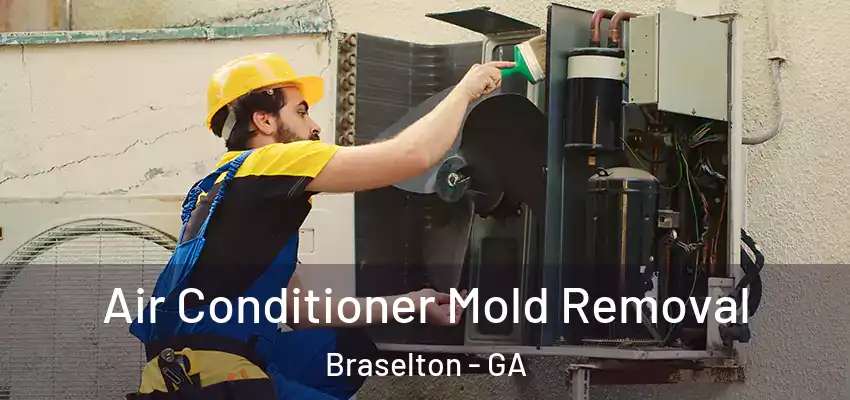  Air Conditioner Mold Removal Braselton - GA