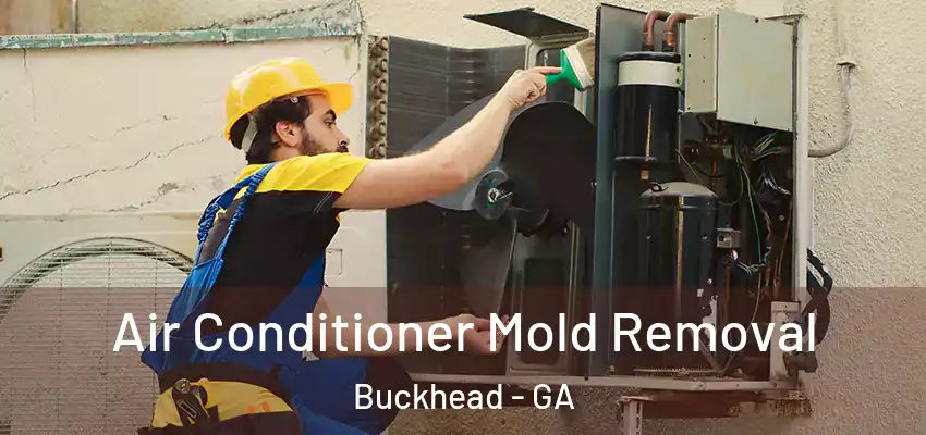  Air Conditioner Mold Removal Buckhead - GA