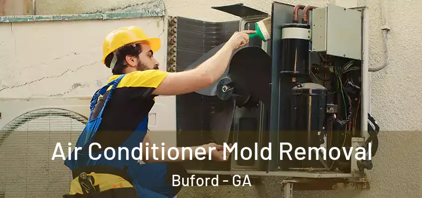  Air Conditioner Mold Removal Buford - GA