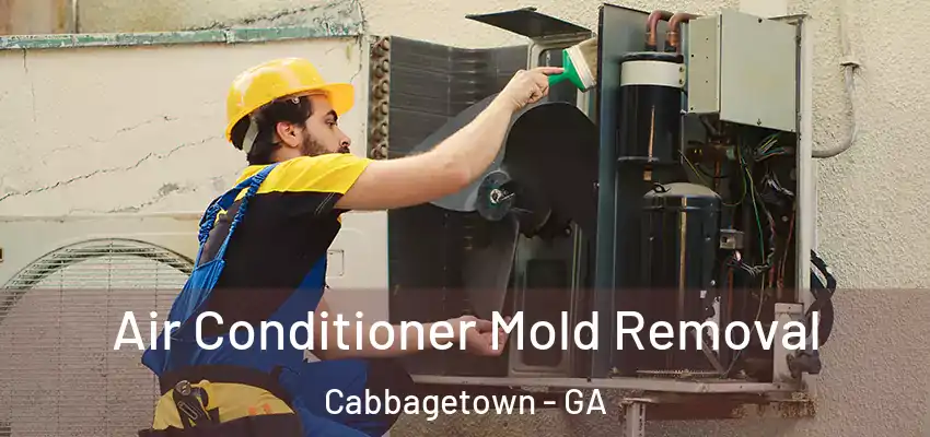 Air Conditioner Mold Removal Cabbagetown - GA