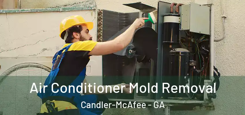  Air Conditioner Mold Removal Candler-McAfee - GA