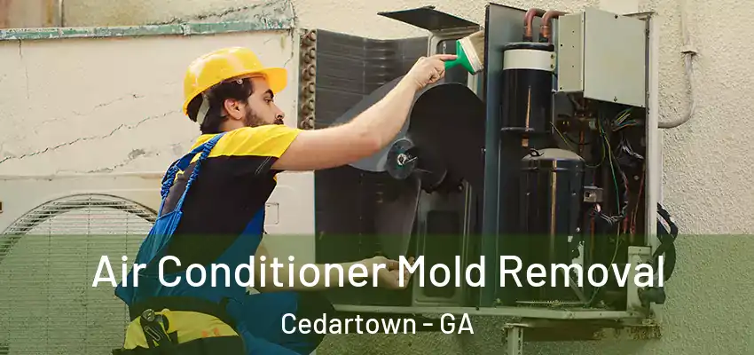  Air Conditioner Mold Removal Cedartown - GA