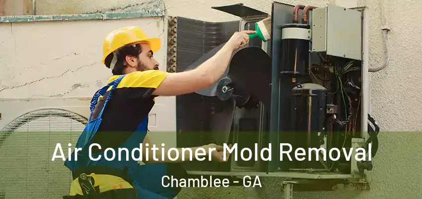 Air Conditioner Mold Removal Chamblee - GA