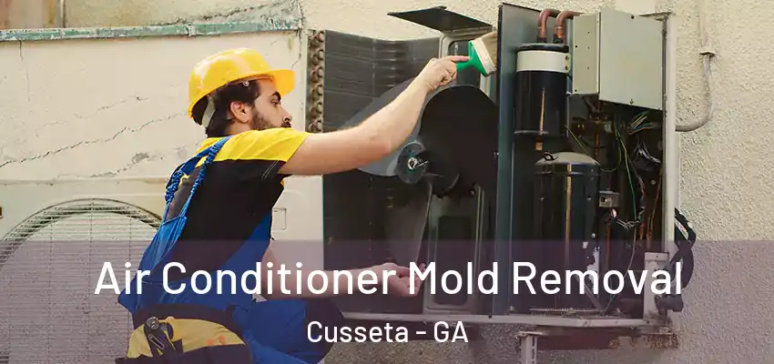  Air Conditioner Mold Removal Cusseta - GA
