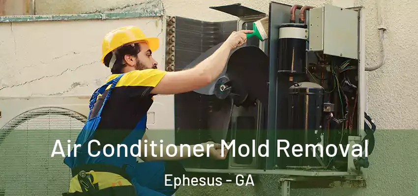  Air Conditioner Mold Removal Ephesus - GA