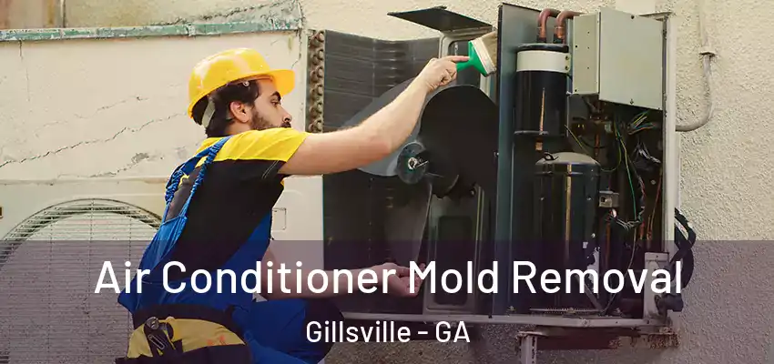  Air Conditioner Mold Removal Gillsville - GA