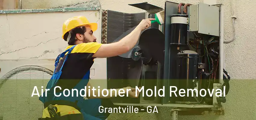  Air Conditioner Mold Removal Grantville - GA
