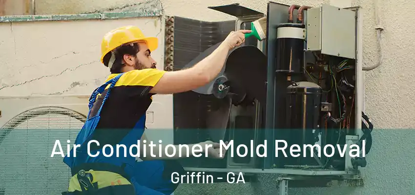  Air Conditioner Mold Removal Griffin - GA