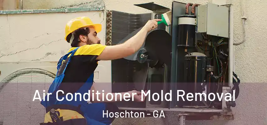  Air Conditioner Mold Removal Hoschton - GA
