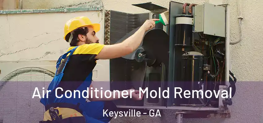 Air Conditioner Mold Removal Keysville - GA