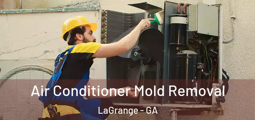  Air Conditioner Mold Removal LaGrange - GA