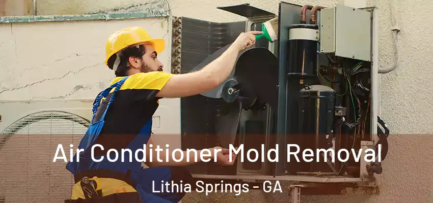  Air Conditioner Mold Removal Lithia Springs - GA