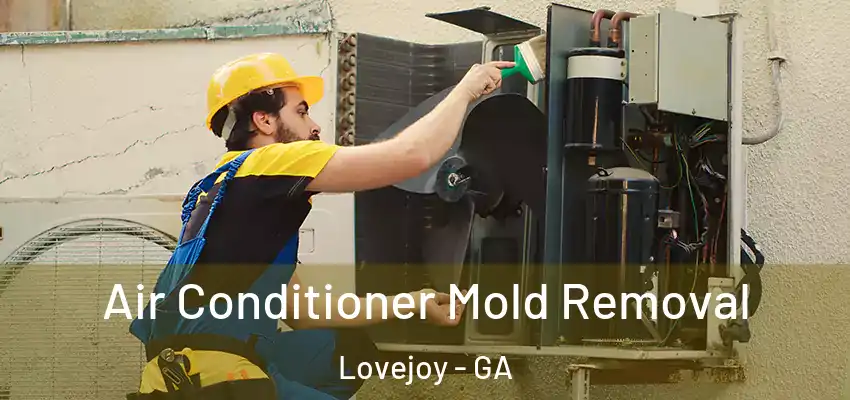  Air Conditioner Mold Removal Lovejoy - GA