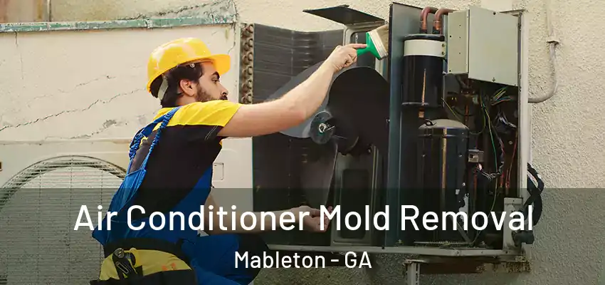  Air Conditioner Mold Removal Mableton - GA