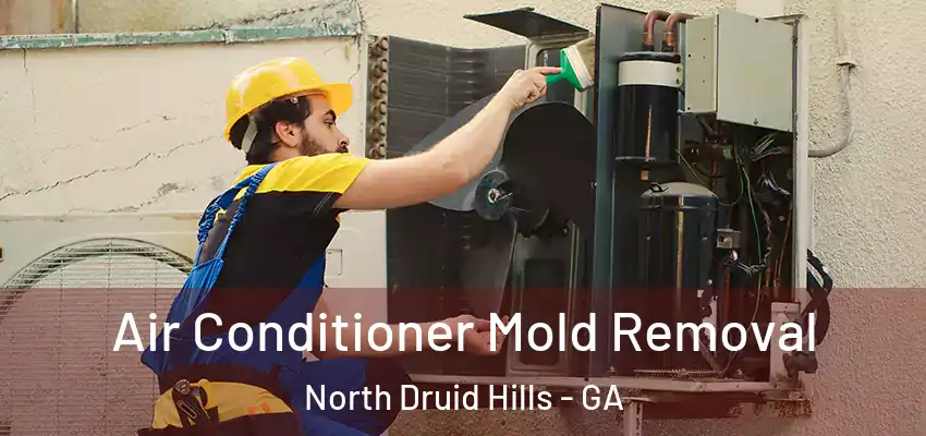 Air Conditioner Mold Removal North Druid Hills - GA