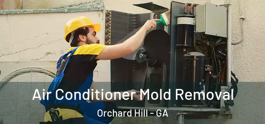  Air Conditioner Mold Removal Orchard Hill - GA