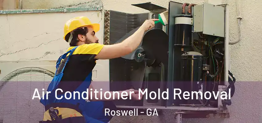  Air Conditioner Mold Removal Roswell - GA
