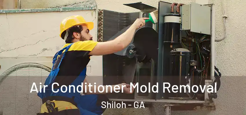  Air Conditioner Mold Removal Shiloh - GA