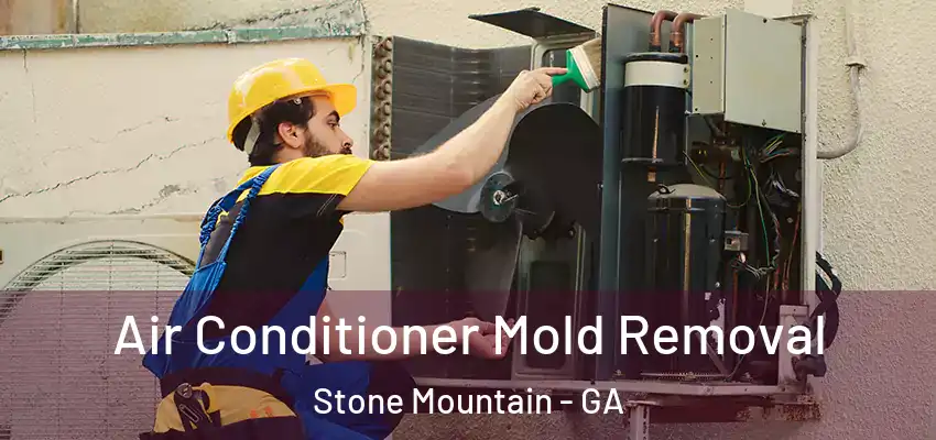  Air Conditioner Mold Removal Stone Mountain - GA
