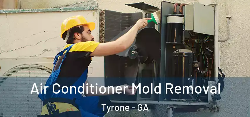 Air Conditioner Mold Removal Tyrone - GA
