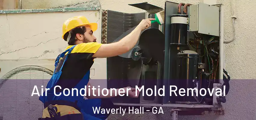  Air Conditioner Mold Removal Waverly Hall - GA