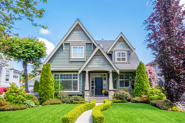 Black Mold Clean Up in Fayetteville, GA