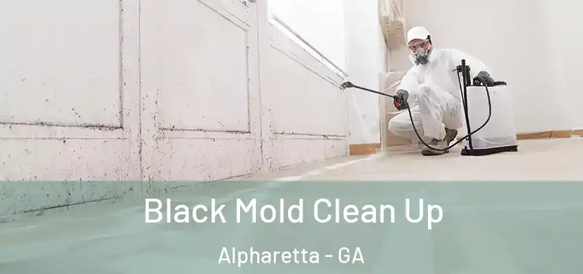  Black Mold Clean Up Alpharetta - GA