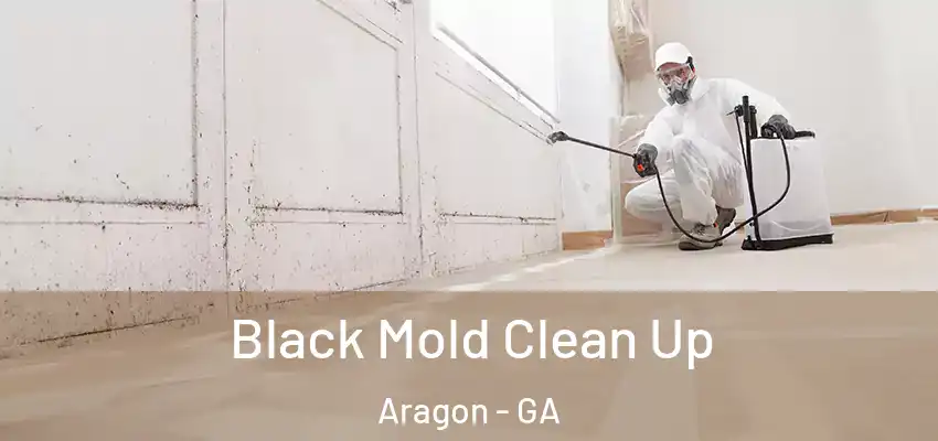  Black Mold Clean Up Aragon - GA
