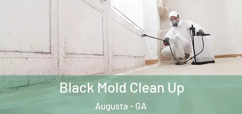 Black Mold Clean Up Augusta - GA