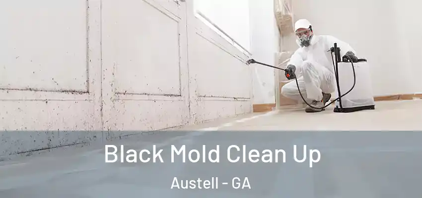  Black Mold Clean Up Austell - GA