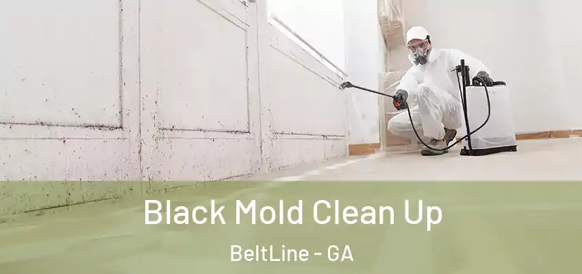 Black Mold Clean Up BeltLine - GA