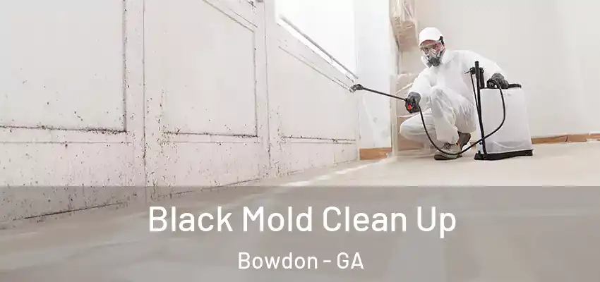 Black Mold Clean Up Bowdon - GA