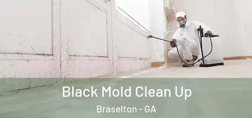  Black Mold Clean Up Braselton - GA