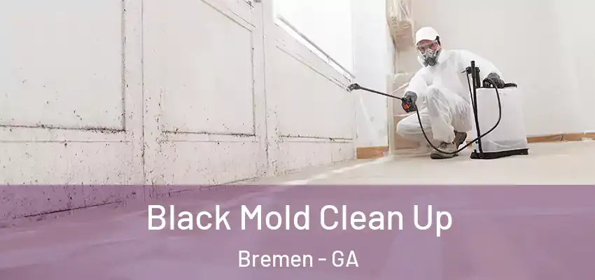  Black Mold Clean Up Bremen - GA