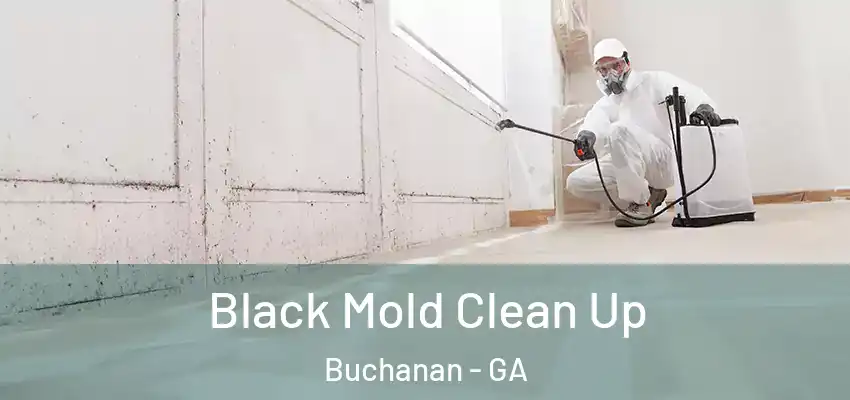 Black Mold Clean Up Buchanan - GA