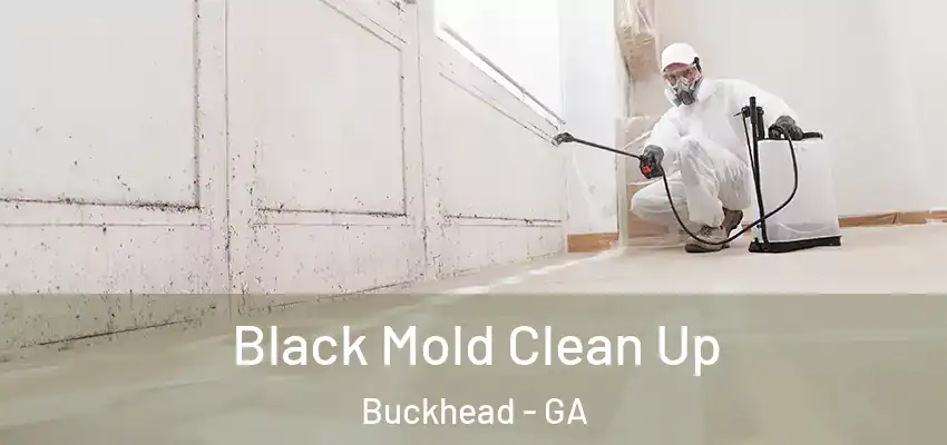 Black Mold Clean Up Buckhead - GA