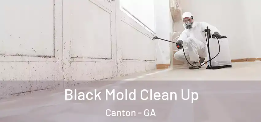 Black Mold Clean Up Canton - GA