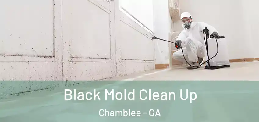  Black Mold Clean Up Chamblee - GA
