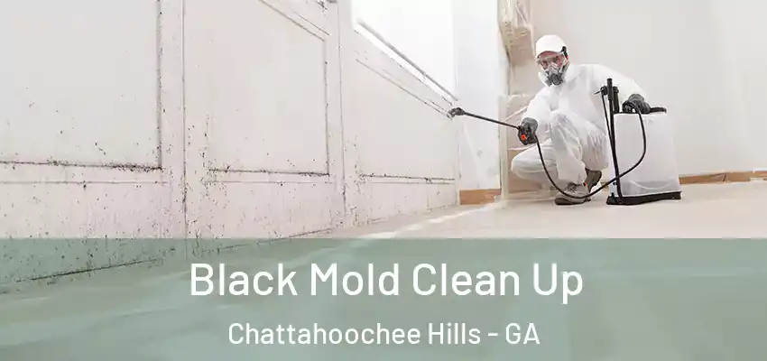  Black Mold Clean Up Chattahoochee Hills - GA