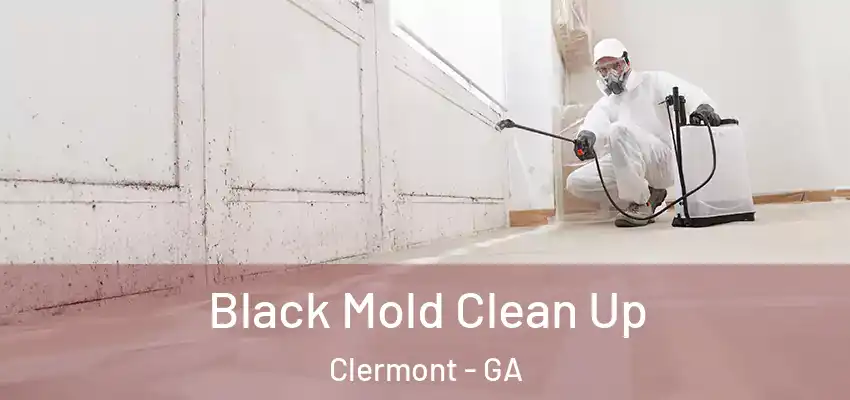  Black Mold Clean Up Clermont - GA