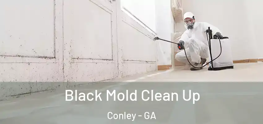 Black Mold Clean Up Conley - GA