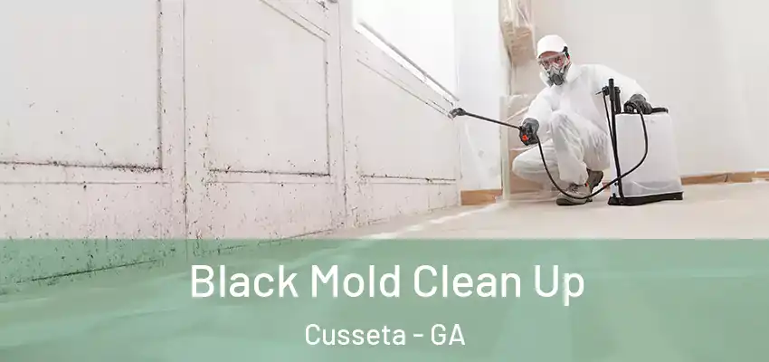  Black Mold Clean Up Cusseta - GA
