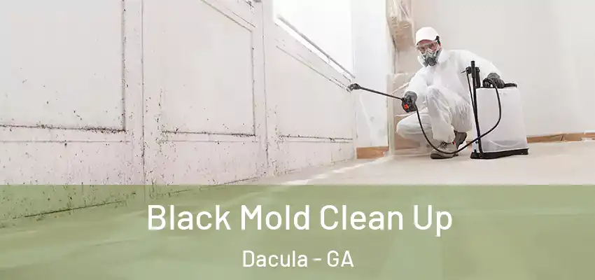 Black Mold Clean Up Dacula - GA