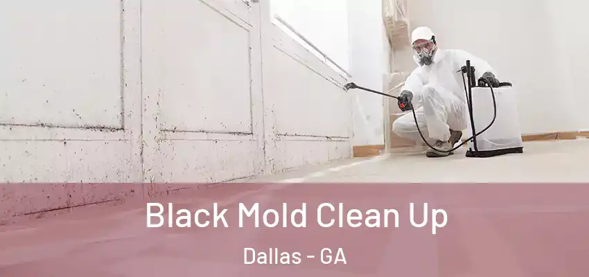  Black Mold Clean Up Dallas - GA