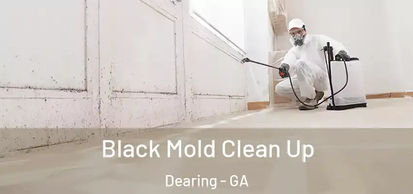  Black Mold Clean Up Dearing - GA