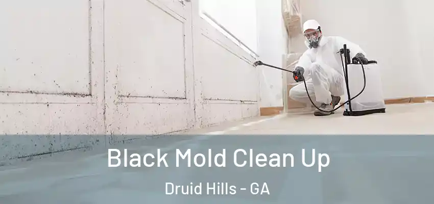 Black Mold Clean Up Druid Hills - GA