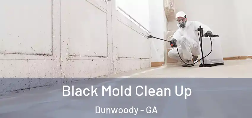  Black Mold Clean Up Dunwoody - GA