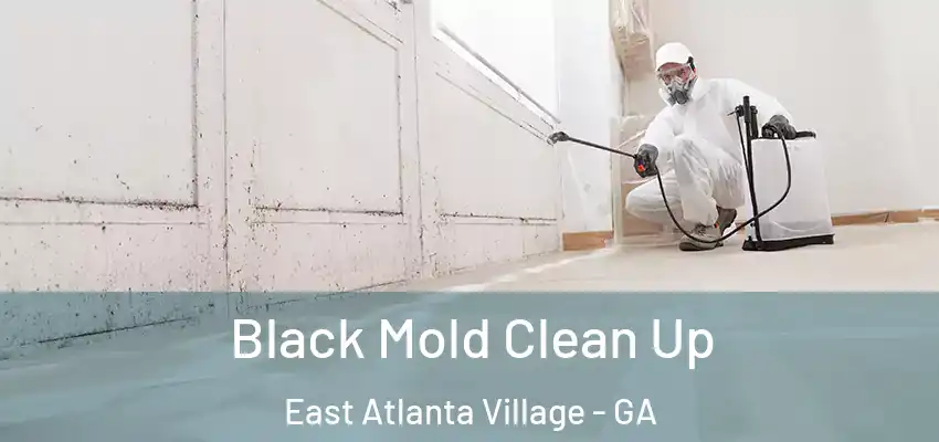 Black Mold Clean Up East Atlanta Village - GA