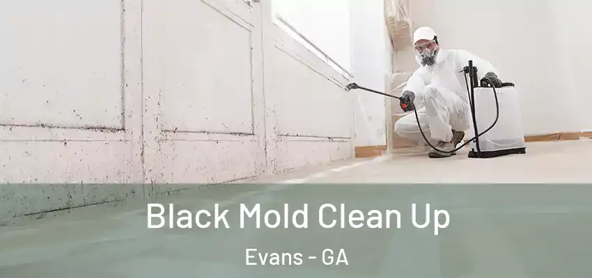  Black Mold Clean Up Evans - GA