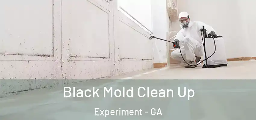 Black Mold Clean Up Experiment - GA